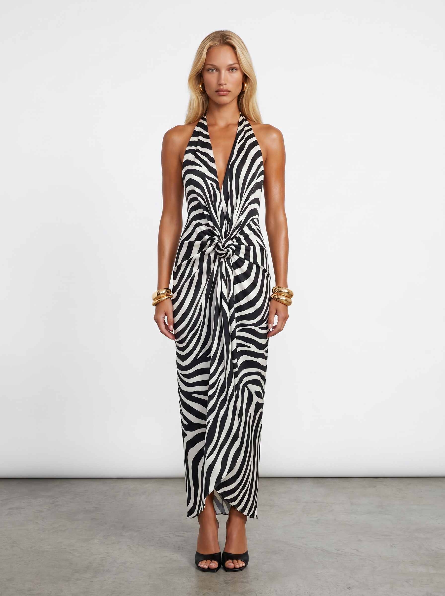 The Zebra Dress